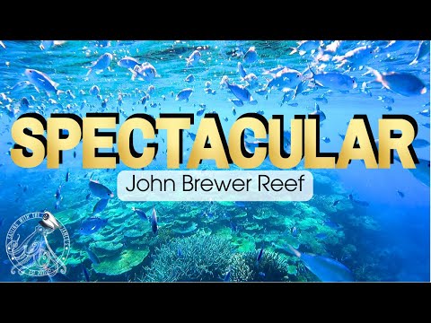 Sailing the GREAT BARRIER REEF | Spectacular John Brewer Reef | Sailing with the James's (Ep. 58)