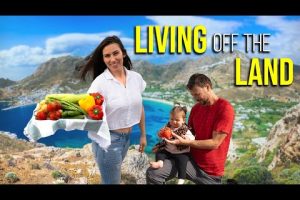 Living Off the Land on a Remote Island | S08E39