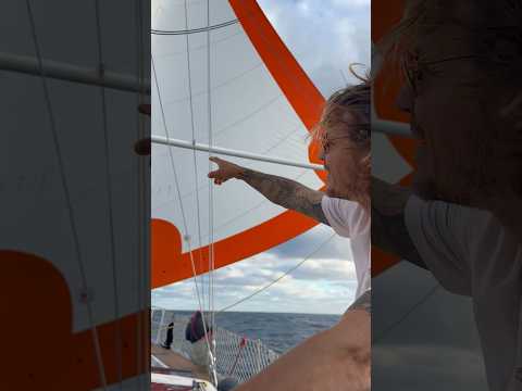 Sailing offshore using the whisker pole
