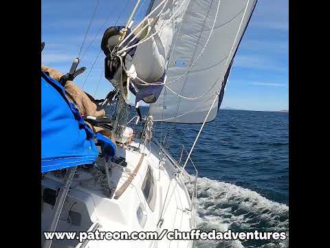 She gets SCARED sailing fast! #sailing #toofast #scaredycat