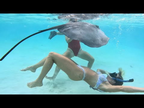 Up Close And Personal With Locals in French Polynesia! - (Episode 240)