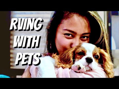 RVing with dogs - Our first ROAD TRIP with our new furry son ✨RV LIFE EP162