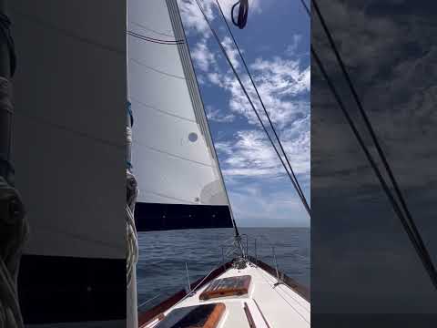 Sailing Across the Sea Again! | Sailing Avocet