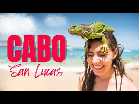 Cabo San Lucas | Pacific Baja California Sur | Sailing Avocet