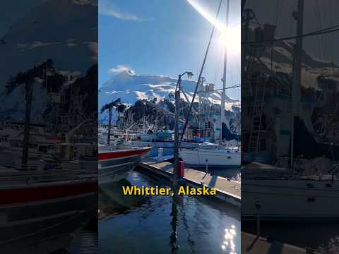 provisioning our boat for 6 weeks of Alaskan winter/spring sailing! # ...