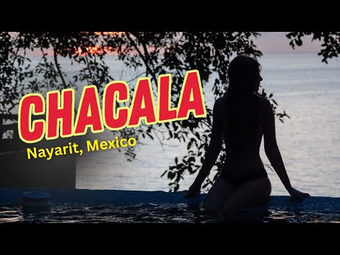 Chacala, Nayarit | Mainland Mexico | Sailing Avocet