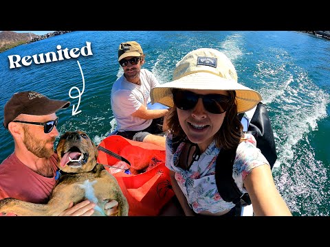 Preparing for a Sailing Expedition: Chuffed Adventures S6Ep15 (and dog reunited with owner)