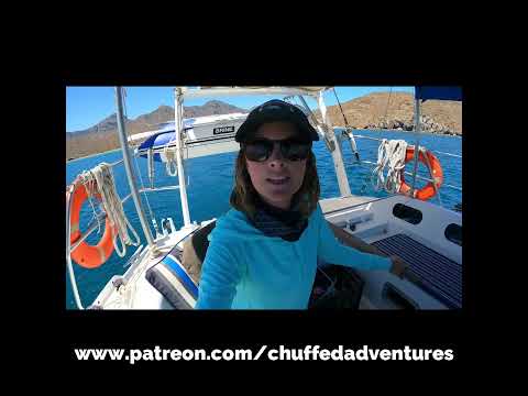 Setting Sail for the Islands #Mexico #animals #sailing