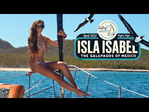 Isla Isabel, The Galapagos of Mexico | Sailing Avocet