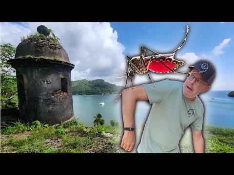 The Captain's Tropical CURSE! - Onboard Lifestyle ep.311