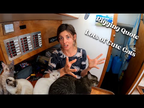 Rigging Quote and Lots of Cute Cats! Chuffed Adventures S6Ep25