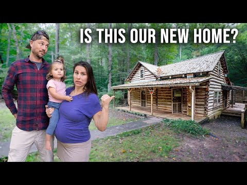 Should We Buy This Abandoned Cabin? | S10E02