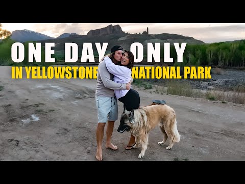 Yellowstone National Park Vlog | SAILING SUNDAY Vlog 262