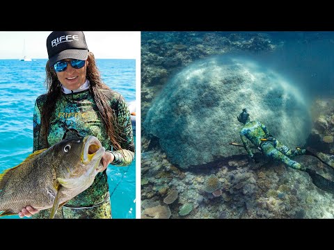 Daytime CORAL SPAWNING & a 'Challenging' catch & cook? (Sailing Popao) Ep.53