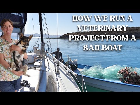 How we run Veterinary Projects from a Sailboat: Chuffed Adventures S6Ep28