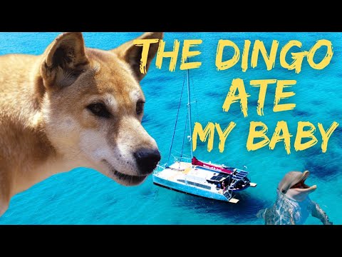 THE DINGO (almost) ATE MY BABY | Sailing with the James's (Ep. 123)