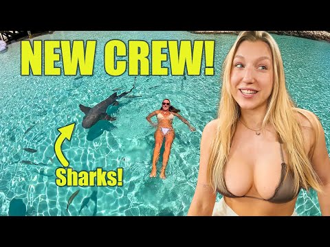 She Joined the Crew… Then We Swam with Sharks! 🦈🐷 | Sailing Bahamas