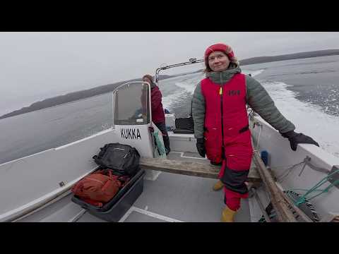A Day of Seal Hunting With the Locals in Greenland