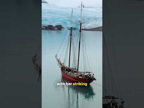 - 3°C Sailing in the Arctic… 🥶 Our Life Aboard Noorderlicht! #travel #sailing #adventure