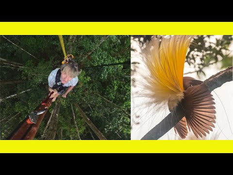 Probably our best adventure yet. 30m up with the birds.(Ep 310)