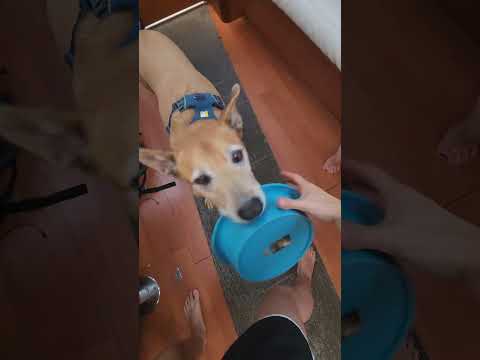 just like genie - shaken in our lamp