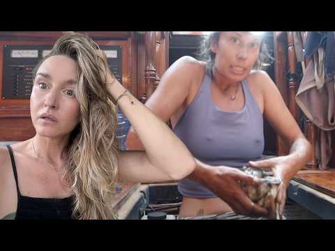 Found something disgusting under the floor. Sail Life