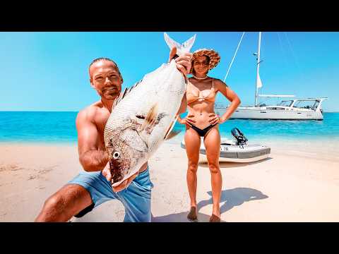 HOW WE EAT? (first we have to catch it) | EE 173