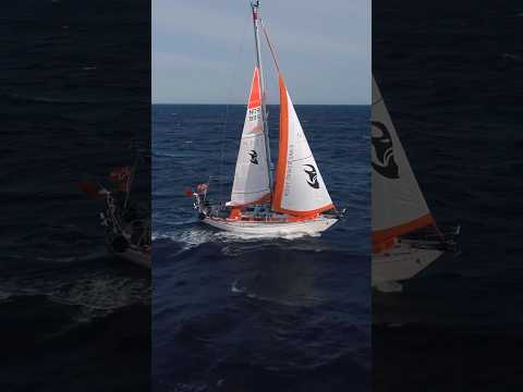Tessie now in Sailaway III! #sailing