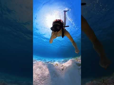 What's Under My House Today? #boat #underwater #ocean #digitalnomad